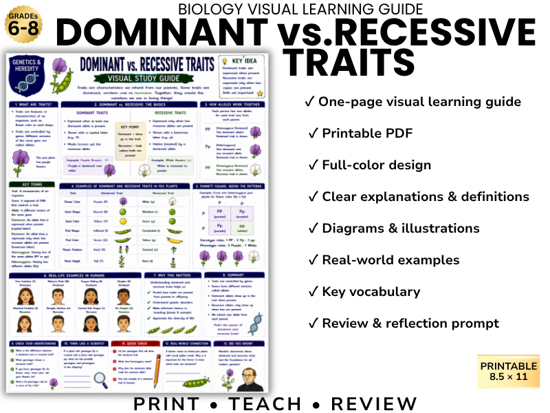 DOMINANT vs.RECESSIVE TRAITS | Biology Visual Learning Guide | Grade 8 & Middle School Science