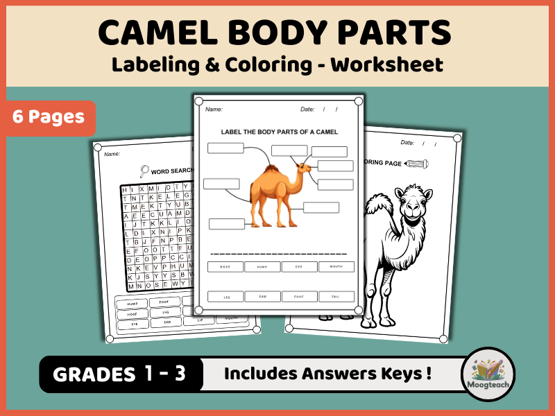 Camel Body Parts in English | Desert Animal Labeling, Coloring & Word Search Worksheets