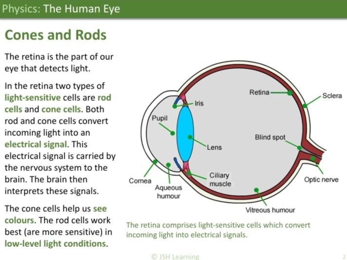 KS3 Physics: The Human Eye