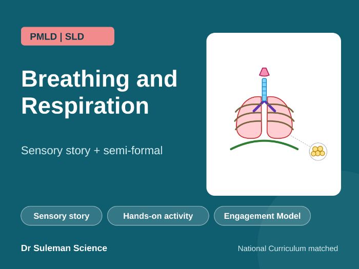 Breathing and Respiration Sensory Story PMLD SLD
