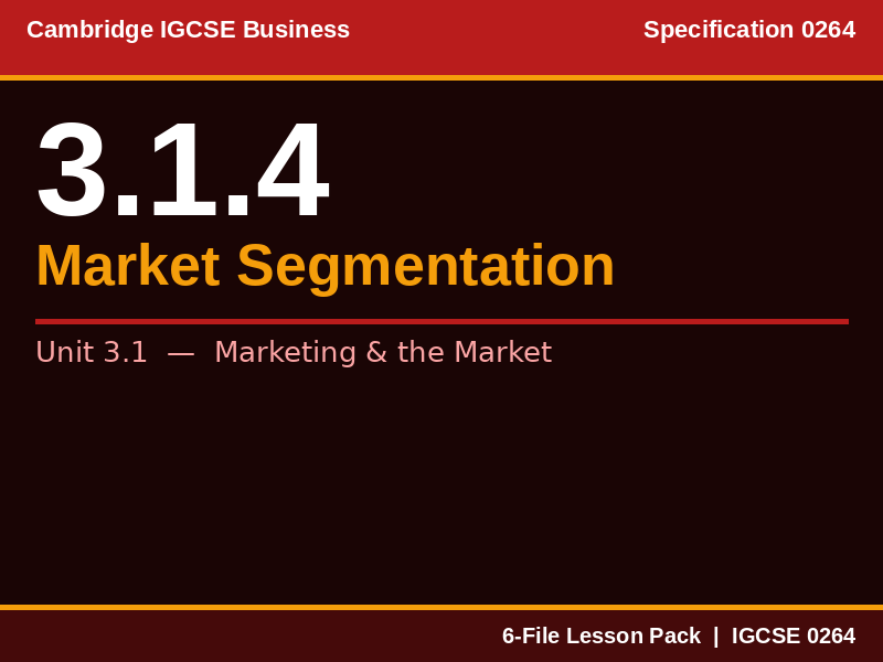 Cambridge IGCSE Business 0264 | 3.1.4 Market Segmentation | Lesson Pack