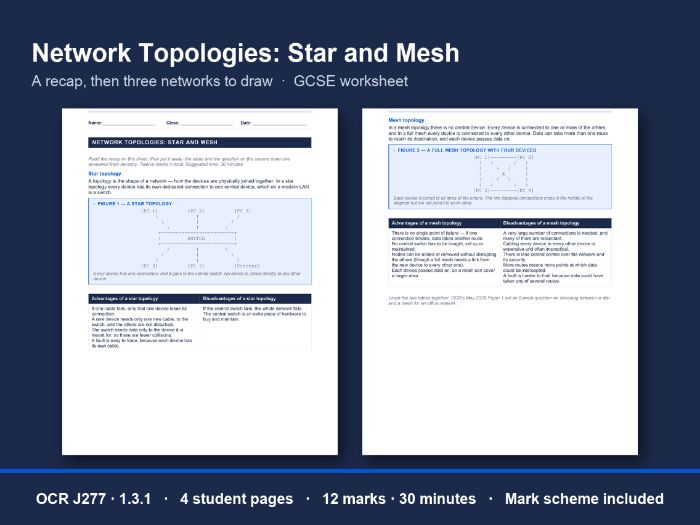 Star & Mesh Topology Worksheet: OCR GCSE