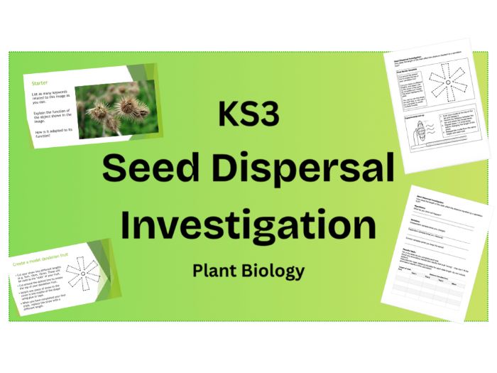 KS3 Quantitative Investigation of Seed Dispersal PPT and Worksheet