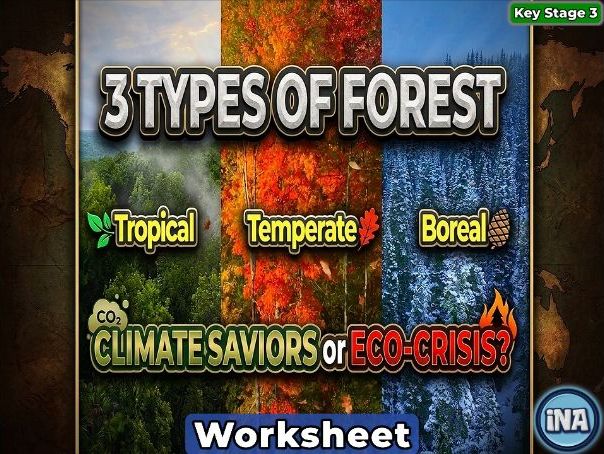 The Forests of the World - KS3 Geography Worksheet