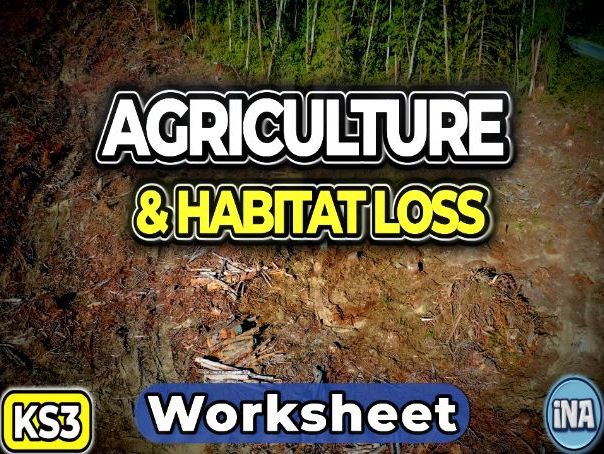 Agriculture and Habitat Loss - KS3 Biology Worksheet