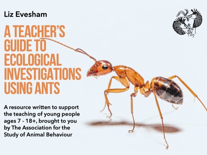 A teacher's guide to ecological investigations using ants