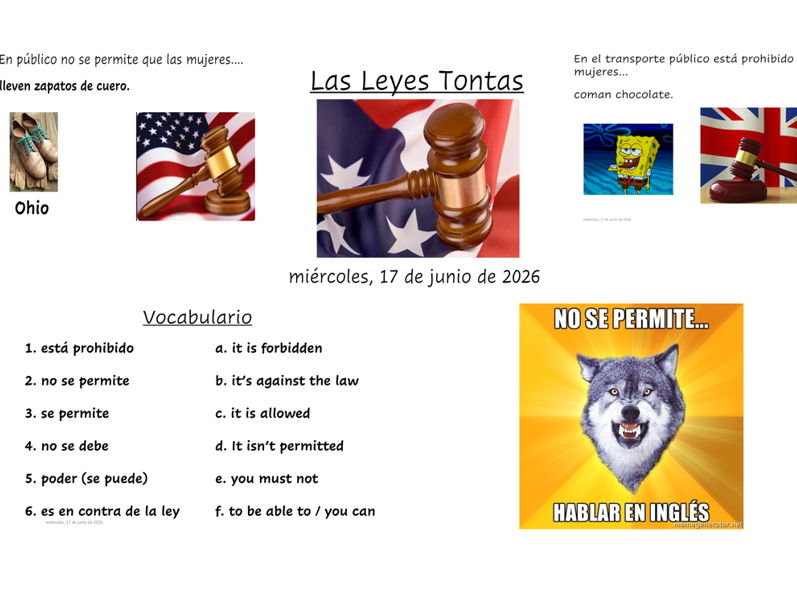 Dumb Laws - Balderdash Style Bluffing Game (Spanish)