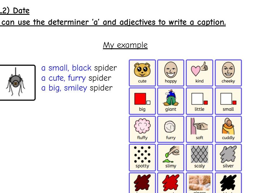 Writing using determiners, adjectives and nouns