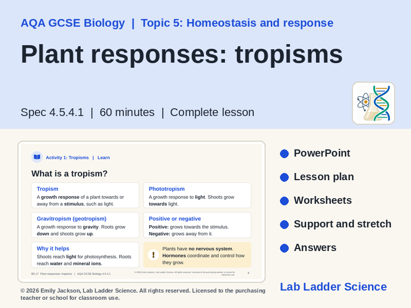 B5-17 Plant Tropisms & Auxin: AQA GCSE Biology