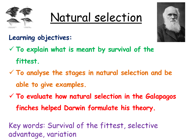Natural selection