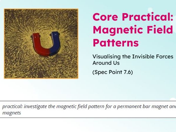 IGCSE Physics: Core Practical: Magnetic Field Patterns | Magnetism & Electromagnetism | Unit 7 | L2
