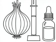 Cells - Microscopy Skills