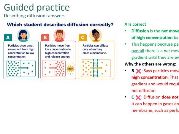 Diffusion (GCSE)
