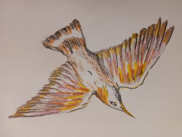 Classroom behaviour Help - Positive Behaviour Strategies Handouts