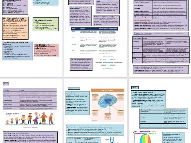 AAQ F400 Fundamentals of mental health and the individual knowledge organiser