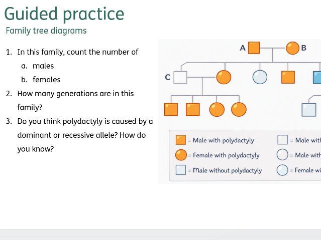 AQA 4.6 Inheritance & Evol. Guided practice