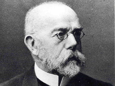 7.2 Robert Koch and microbe hunting