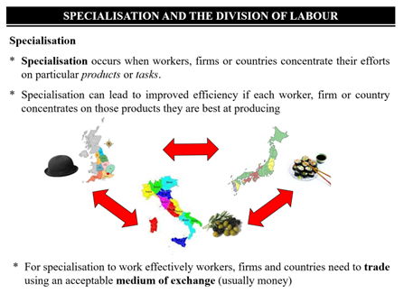 Specialisation - Edexcel A A-Level Economics