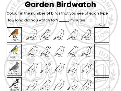 Garden Birdwatch Worksheet | Printable Bird Spotting Activity for Kids | Nature Observation Journal