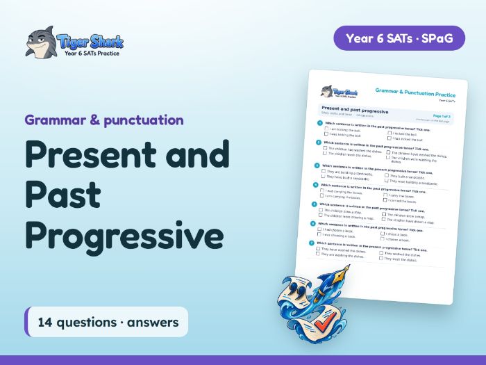 Present and Past Progressive: Year 6 SPaG