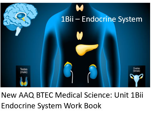 NEW: AAQ BTEC Medical Science Unit 1Bii Endocrine System - Work Book