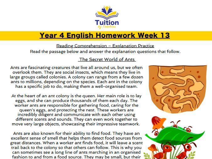 13. Year 4 - Reading Comprehension & SPaG