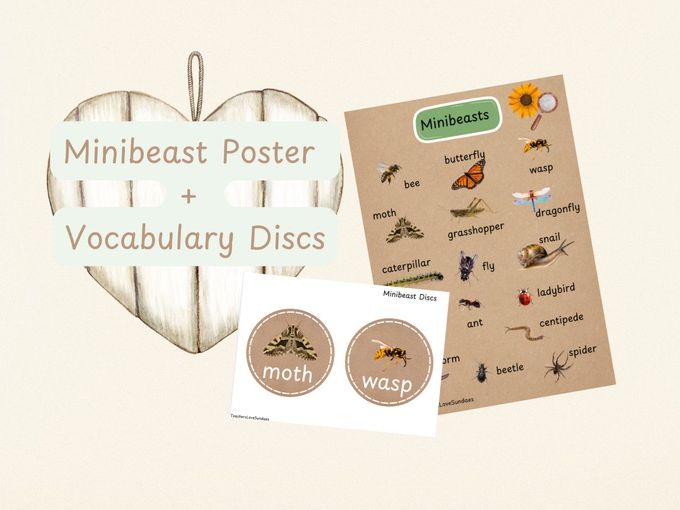 Minibeast Poster & Vocabulary Discs