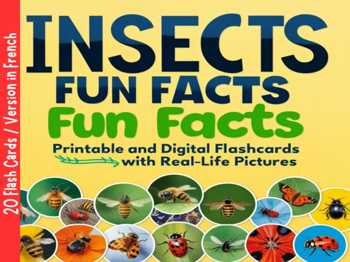 Insects Fun Facts: Printable and Digital Flashcards with Real-Life Picture Version in French