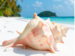 Lord of the Flies - Chapter 1 Worksheet & PPT