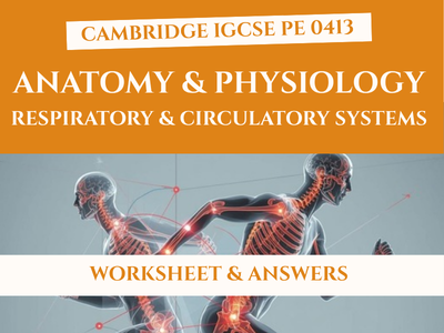 IGCSE PE Respiratory & Circulatory Systems Worksheet | 0413