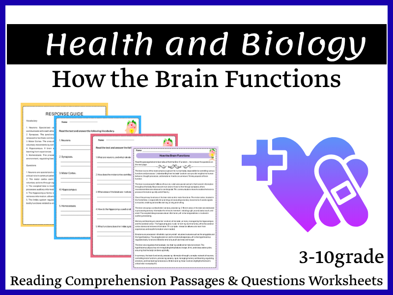 How the Brain Functions Reading Comprehension Passages & Questions Worksheets