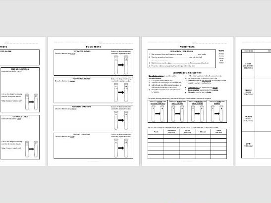 RP4 Food Tests – Worksheets (GCSE Biology)