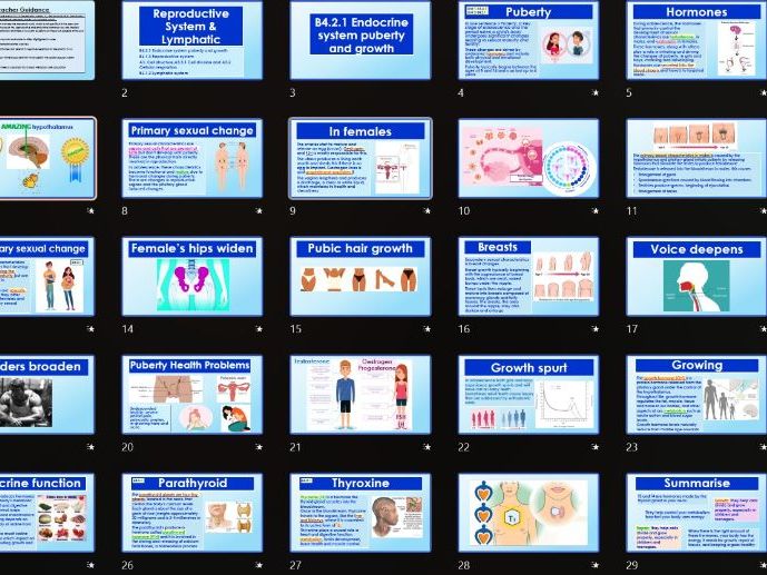 AAQ BTEC Health & Social Care Unit 2 Human Biology Reproductive, B4 Endocrine and cells