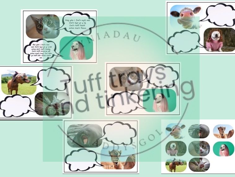 funny faces animals shwmae day  Foundation phase Curriculum for Wales Early Years PS1 addysg Cymraeg