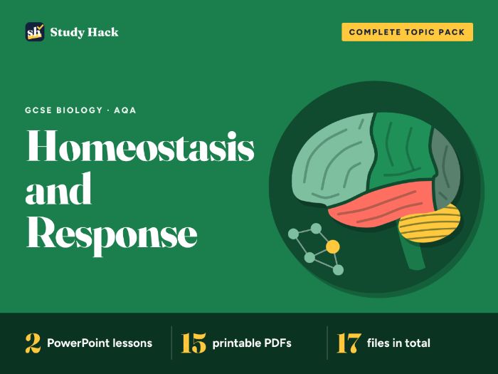 GCSE Biology Homeostasis and Response Pack (AQA)