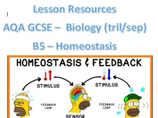lesson_required practical reflexes_AQA GCSE