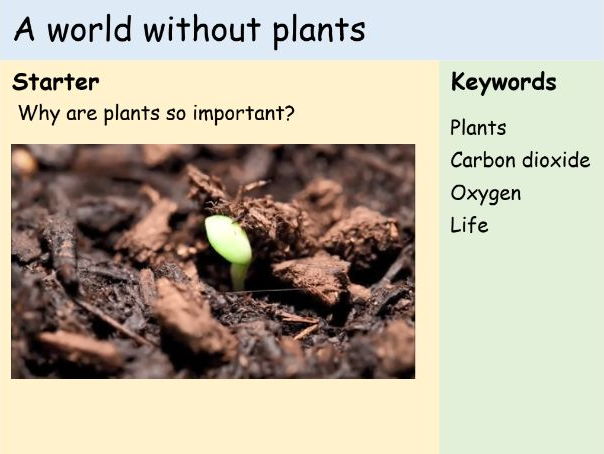 KS3 Plants - Lesson 9 - A World Without Plants