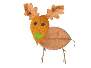 Outdoor Leaf  Art Activity: Leaf Deer
