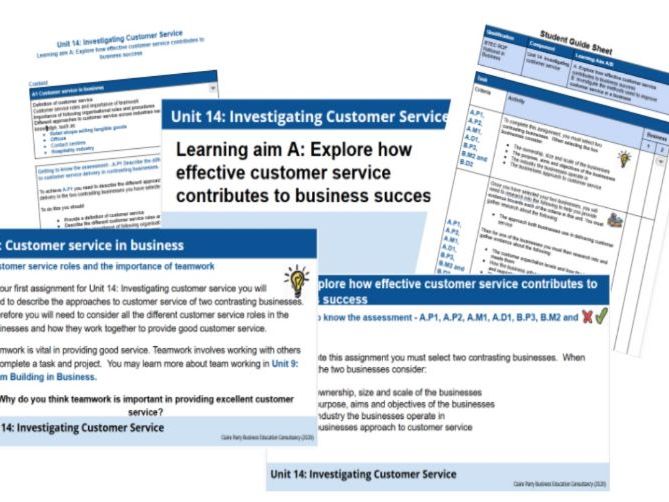 BTEC National in Business - Unit 14: Investigating Customer Service learning aim C resource bundle
