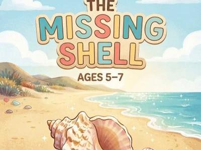 THE MISSING SHELL