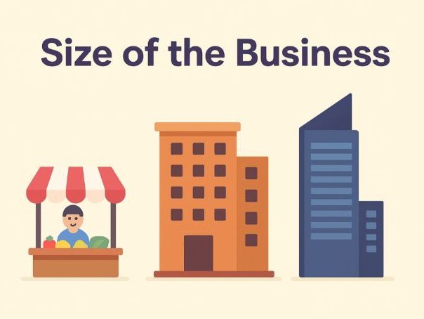 Cambridge AS Level Business - 1.3 Size of business
