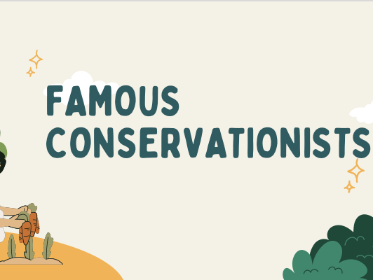 Famous Conservationists Research Lesson & Worksheets
