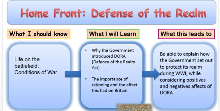 WW1 Home Front and DORA KS3