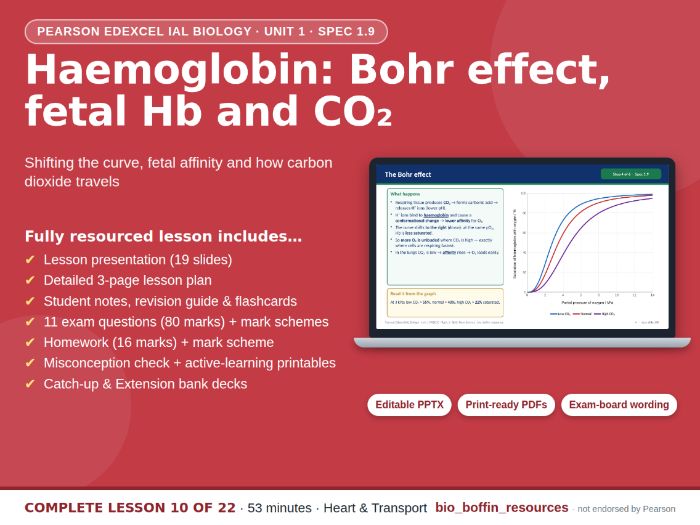 IAL Biology – Bohr Effect & Fetal Haemoglobin