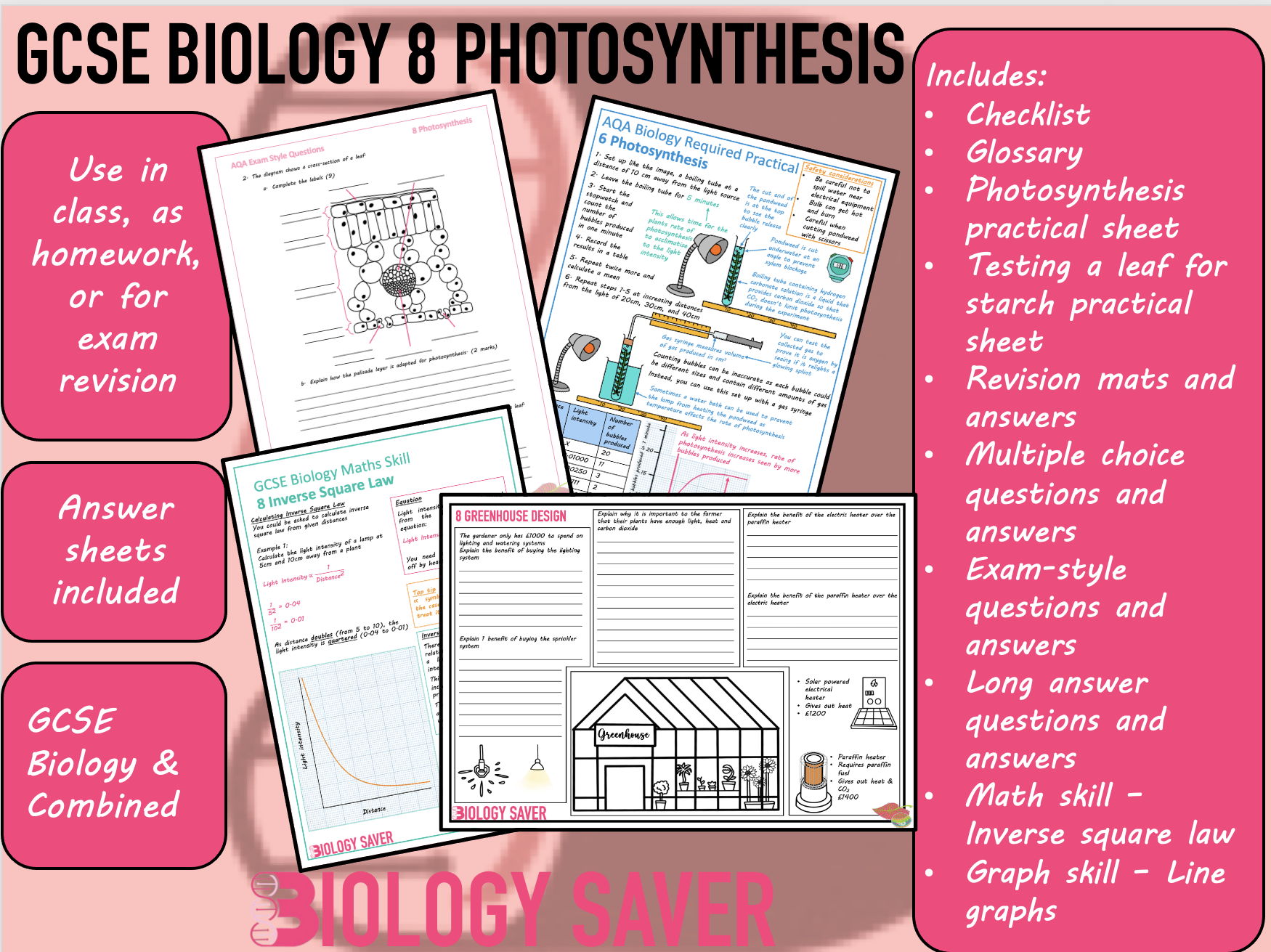 GCSE Biology Topic Bundle - 8 Photosynthesis