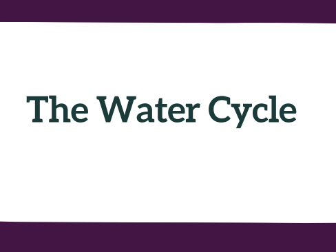 Grade 2 Science Curriculum Earth Science -THE WATER CYCLE | NGSS