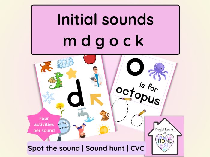 Initial sounds picture card m d g o c k