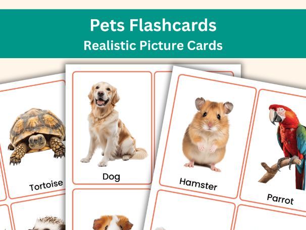 Pets Flashcards - 24 Realistic Picture Cards Educational Learning