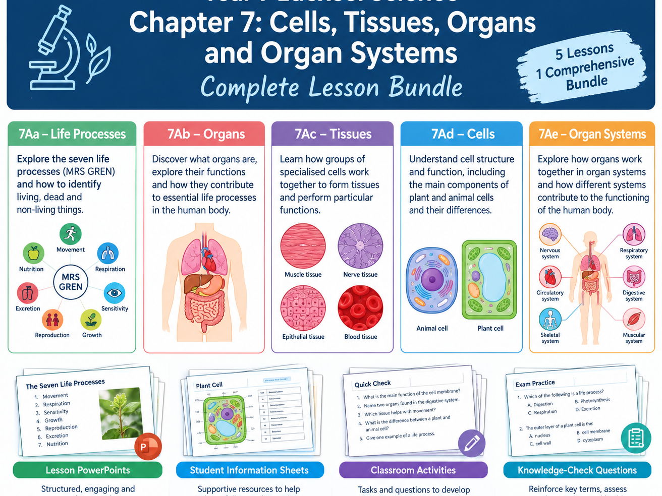 Chapter 7: Cells, Tissues, Organs and Organ Systems (KS3) - Bundle