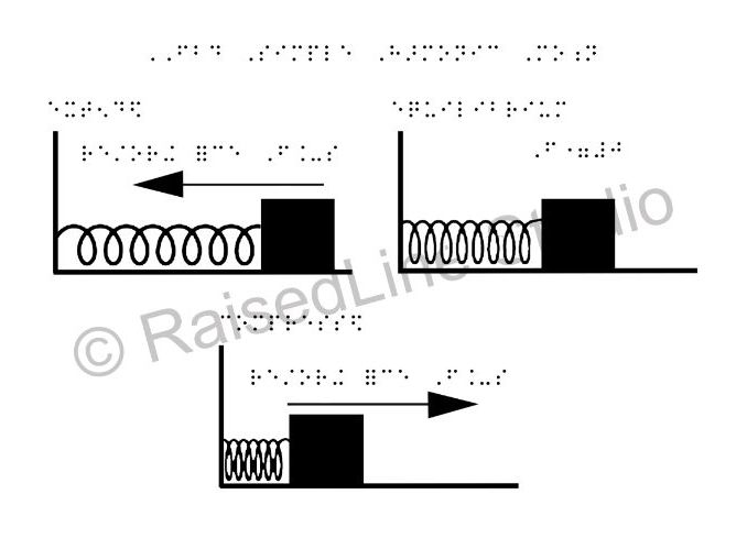 Free Body Diagram | Simple Harmonic Motion | UEB Contracted Braille | PIAF Ready